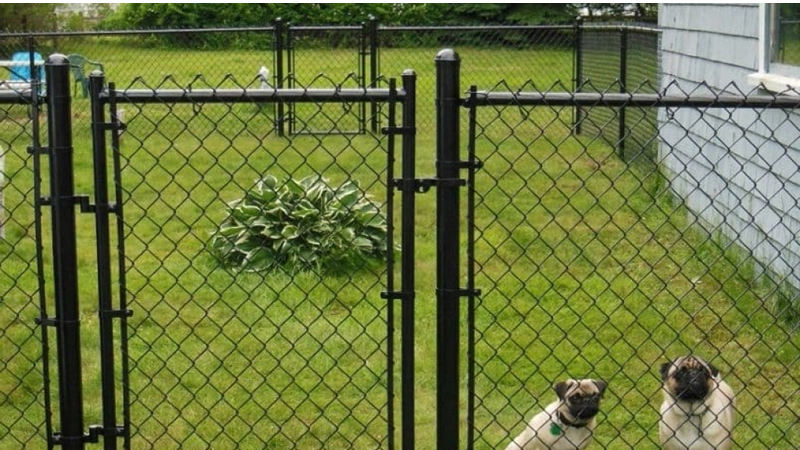 medium metal fence 4